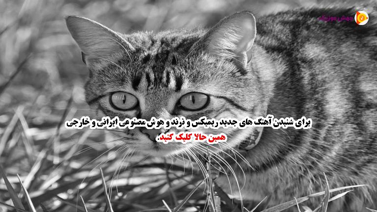 دانلود آهنگ دل من سیاست ولی ابی رو خیلی دوست دارم (ترند غمگین) از 